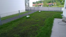 IMAG0302.webp