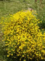 HPIM9679.webp