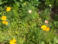 HPIM9683.webp
