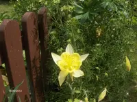 hpim9684.webp