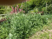 HPIM9685.webp