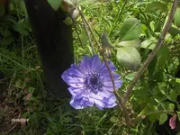 HPIM9686.webp