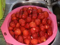 HPIM9692.webp