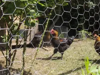 HPIM9680.webp