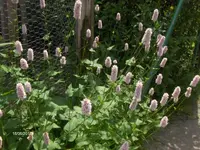HPIM9681.webp