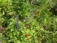 HPIM9682.webp