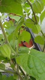 DSC07682.webp