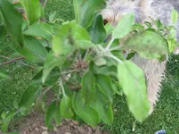 IMG_5444.webp