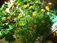 IMG_4456.webp