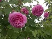 2013-06-21-2124.webp