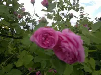 2013-06-21-2125.webp