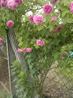 2013-06-21-2126.webp