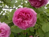 2013-06-21-2127.webp