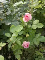 2013-06-21-2100.webp