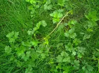 20130622_102147.webp