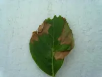 220620131344.webp