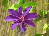019.webp