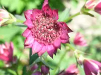 RIMG0030.webp