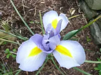 RIMG0071.webp
