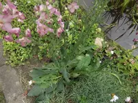 DSCF0001.webp