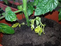 20130622_162640.webp