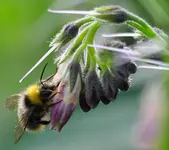 garten9.webp