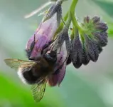 garten10.webp