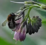 garten11.webp