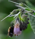 garten12.webp