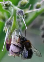 garten13.webp
