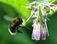 garten14.webp