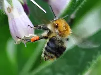 garten15.webp