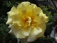 BILD2163.webp