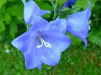 P1060817.webp