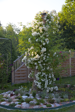 IMG_0811.webp
