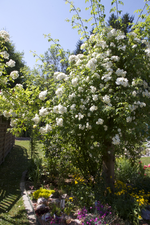 IMG_1947.webp