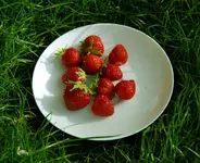 DSC_6405.2.webp