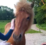 2013-06-22 20.52.40.2.webp