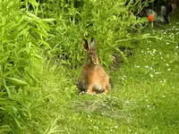 075.webp
