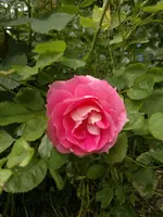 2013-06-22-2148.webp