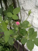 2013-06-22-2140.webp