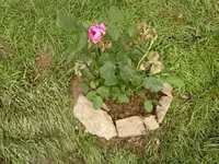 2013-06-22-2163.webp