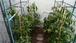 21. Juni 2013 (8).webp