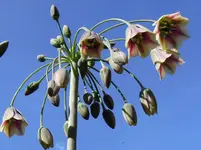 dscn2231_hf.webp