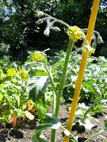 DSCF6876.webp