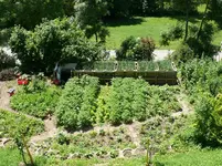 Hauptgarten.webp