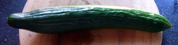Gurken Frucht.webp