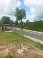 20130623_104033.webp