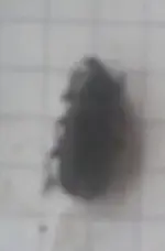 20130623_121829.webp