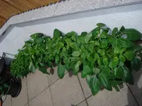 DSC03120.webp